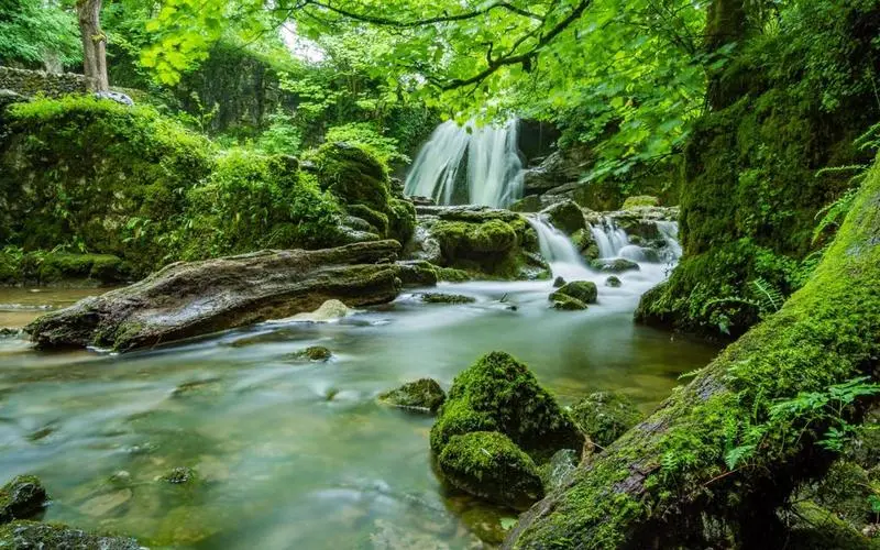 智能系统高性能智能